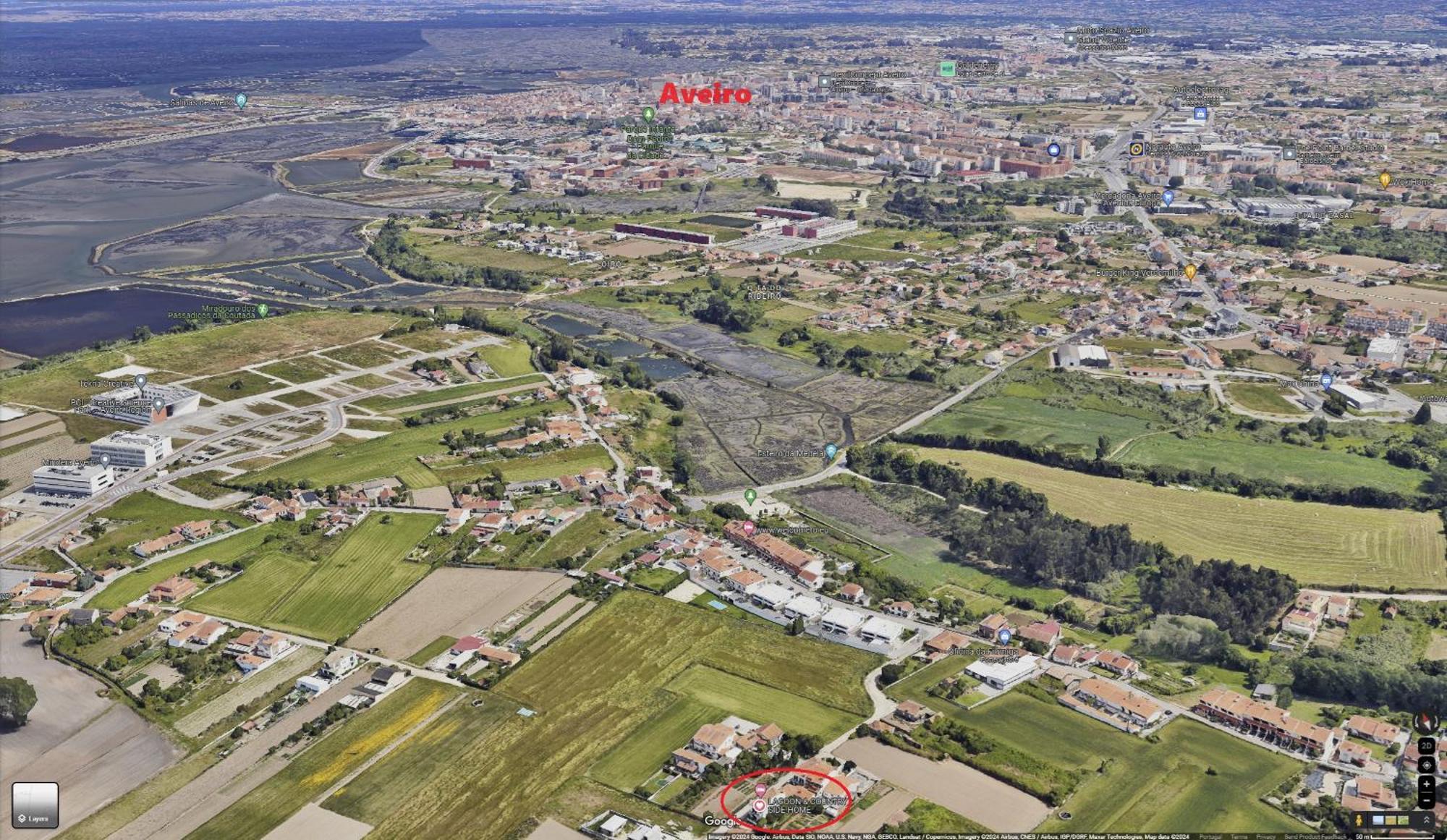 Lagoon & Country Side Home Ilhavo Bagian luar foto