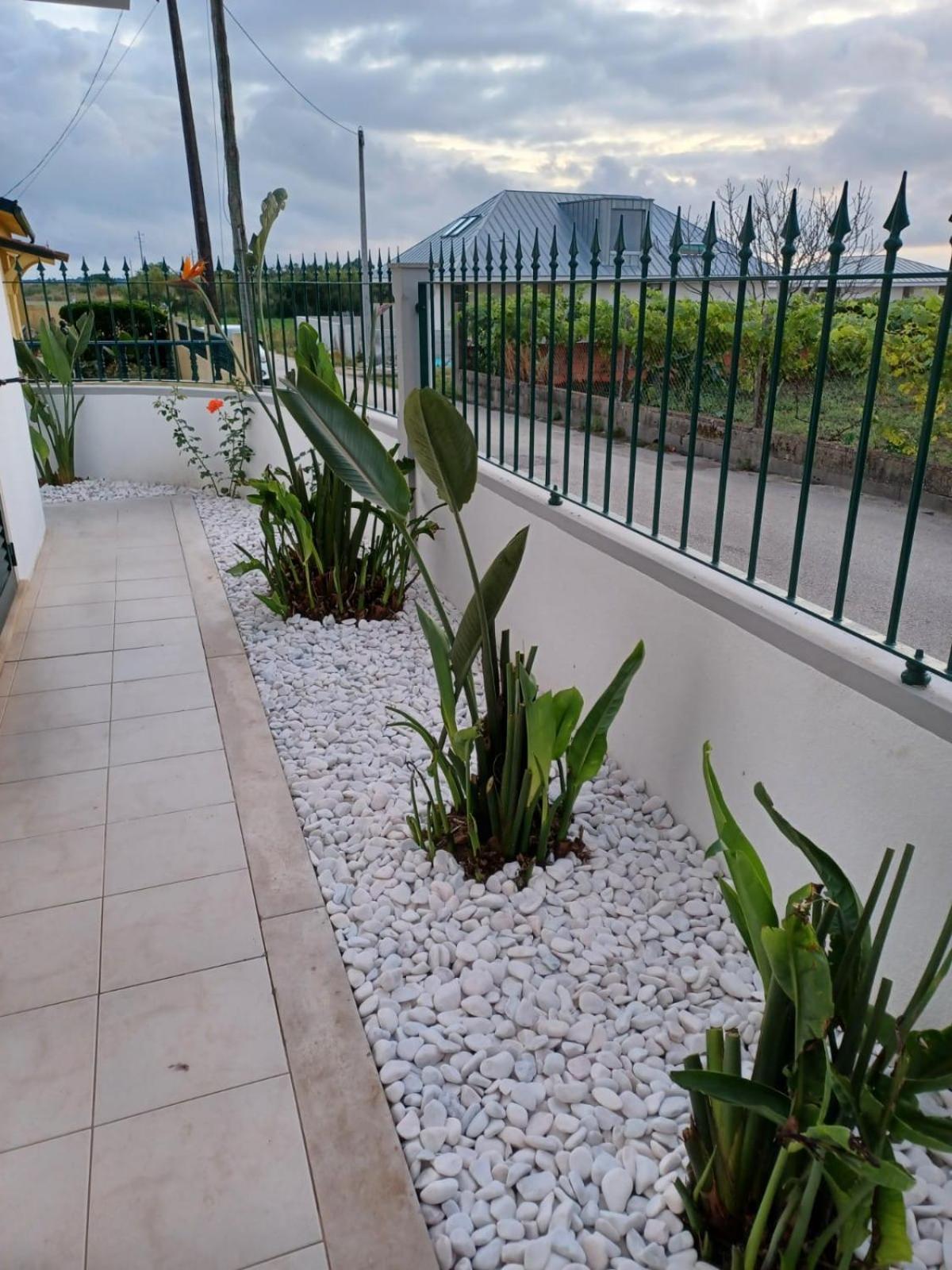 Lagoon & Country Side Home Ilhavo Bagian luar foto
