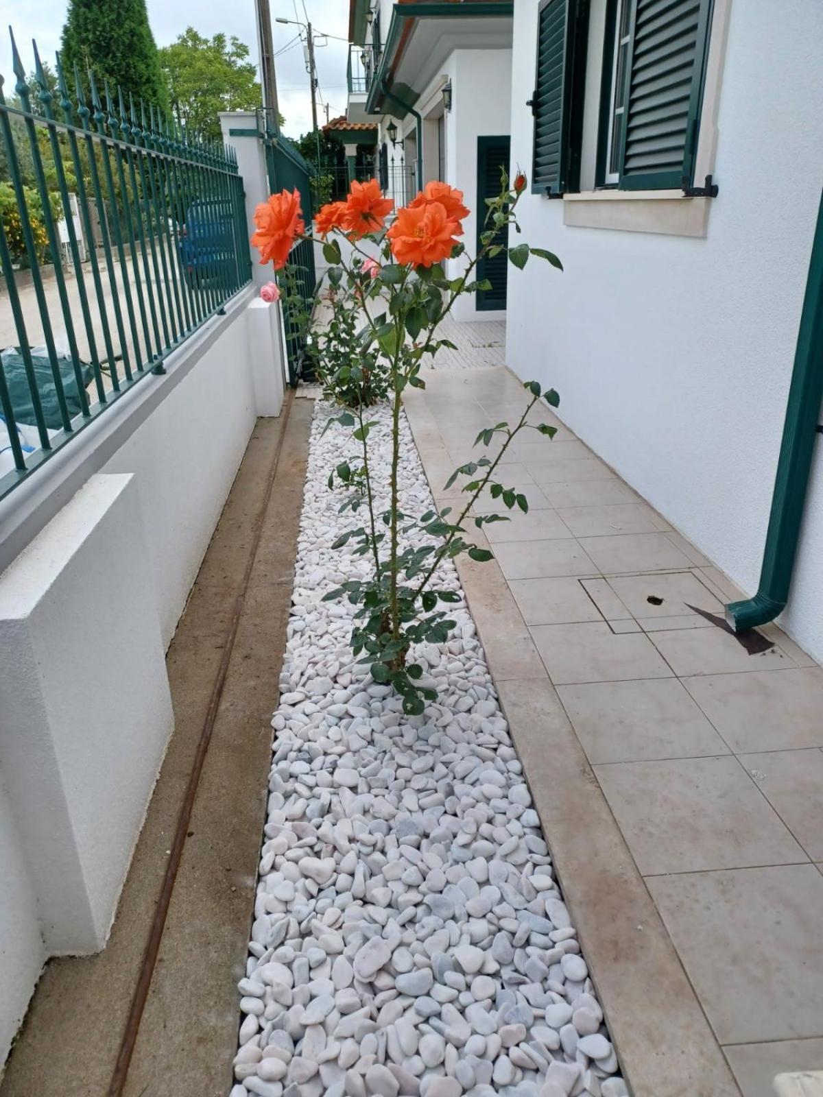 Lagoon & Country Side Home Ilhavo Bagian luar foto